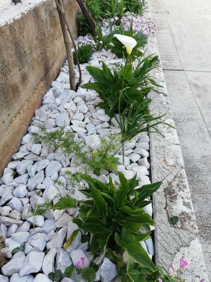 Apartman 2 Zadar Exterior photo